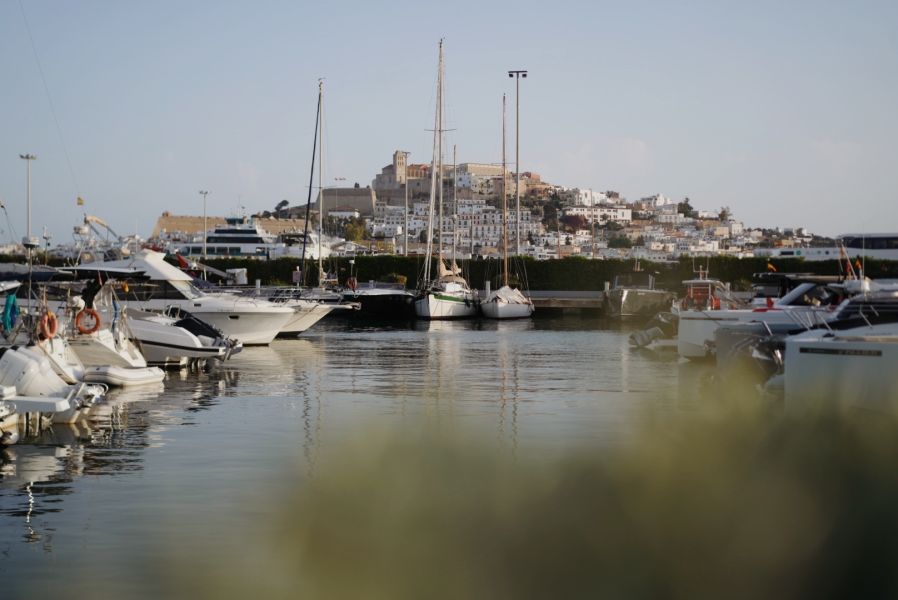 Cafe concierto en Marina Botafoch