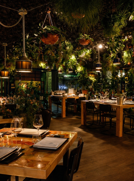 Cafe Concierto in Talamanca