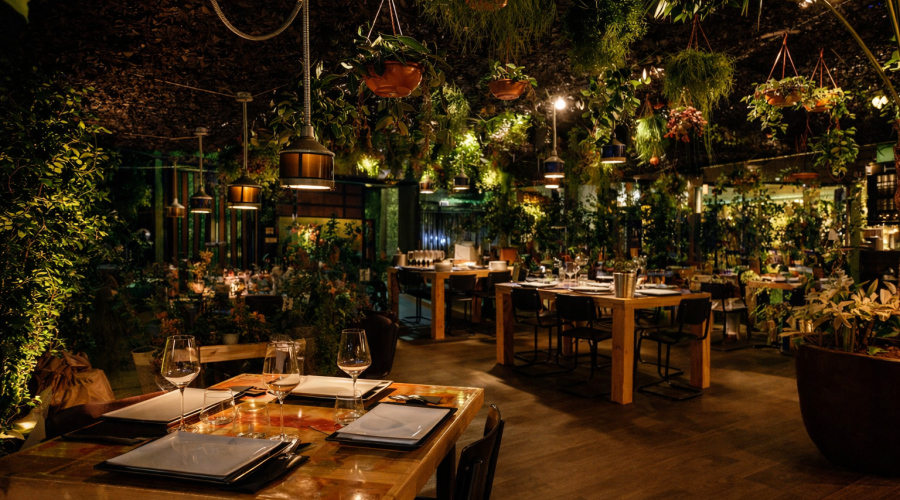 Cafe Concierto en Talamanca