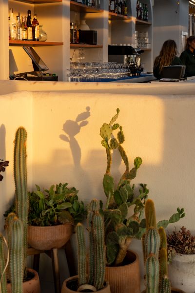 Restaurant in Formentera