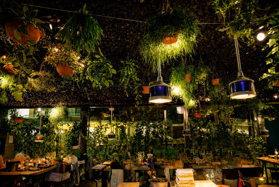 Cafe Concierto in Talamanca