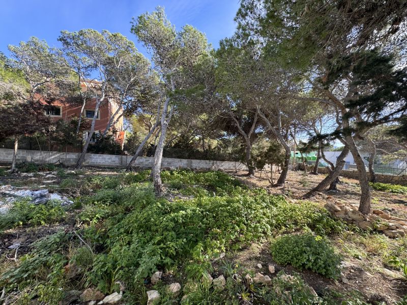 Villa in cala Gracio